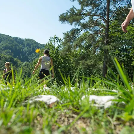 Sunny Hilltop - 42 Km From Ljubljana